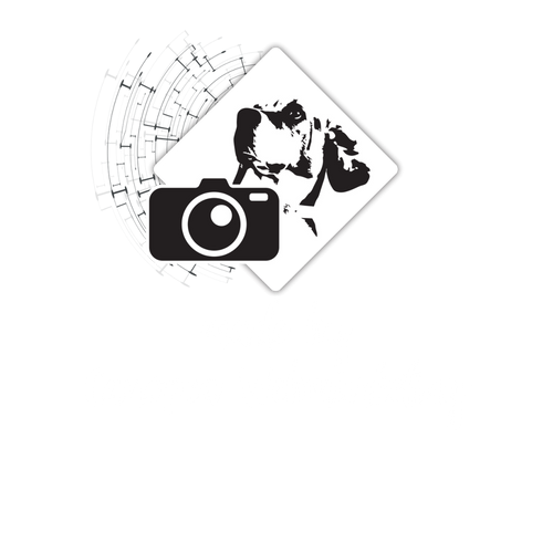 Canopea-Webmarketing